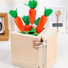 Smart Carrots – Farver & former - sorteringslegetøj i træ