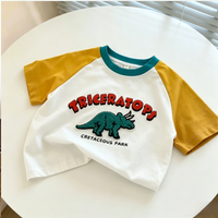 Thumbnail for StreetBoy – Sejt & behagelig – Børnet-shirt med raglanærmer og print