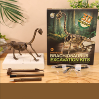 Thumbnail for DinoDig – Spændende og lærerigt – Fossiludgravningssæt