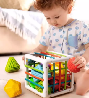 Sorting Cube™ - Sorteringsterning - Terning til undervisning