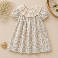 Thumbnail for Lace Stitching Dress – Elegance & komfort – Blonder & broderier