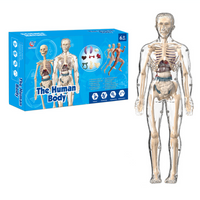 Thumbnail for Human Anatomy – Lære og opdage – Modelkit af menneskekroppen