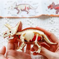 Thumbnail for DinoDig – Spændende og lærerigt – Fossiludgravningssæt