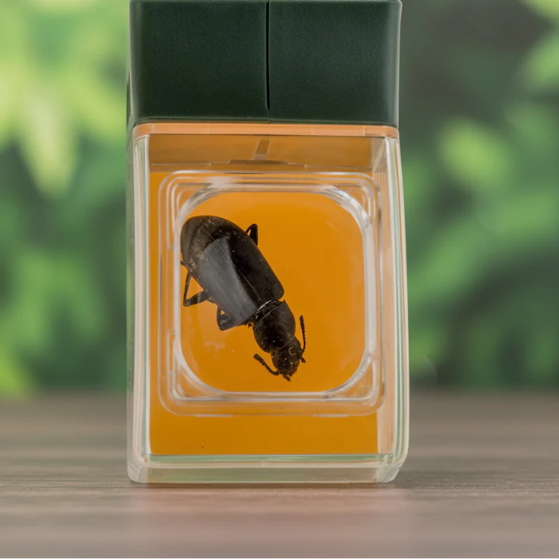 Bug Catcher with Magnifier – Opdagelse & læring – Insektfanger