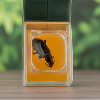Thumbnail for Bug Catcher with Magnifier – Opdagelse & læring – Insektfanger
