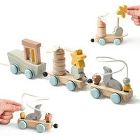 Thumbnail for HappyTrain – Montessori & Fun – Træstogssæt