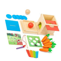 Thumbnail for Smart Carrots –  Farver & former - sorteringslegetøj i træ