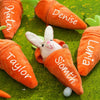 Personalized Bunny – Den ultimative påskegave – Plyskanin med gulerod og navn