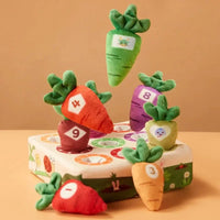 Thumbnail for Sensory Carrots – Føle og høste - Sensorisk legetøj