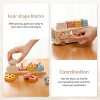 Thumbnail for Woods™ - Playful Sorting - Sorteringsspil
