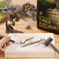 Thumbnail for DinoDig – Spændende og lærerigt – Fossiludgravningssæt