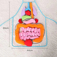 Thumbnail for Anatomi forklæde™ | Undersøg kroppen på en interaktiv måde - Organer forklæde